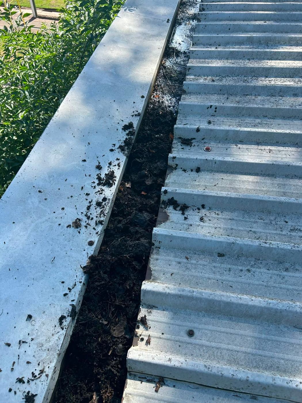 Before gutter cleaning
