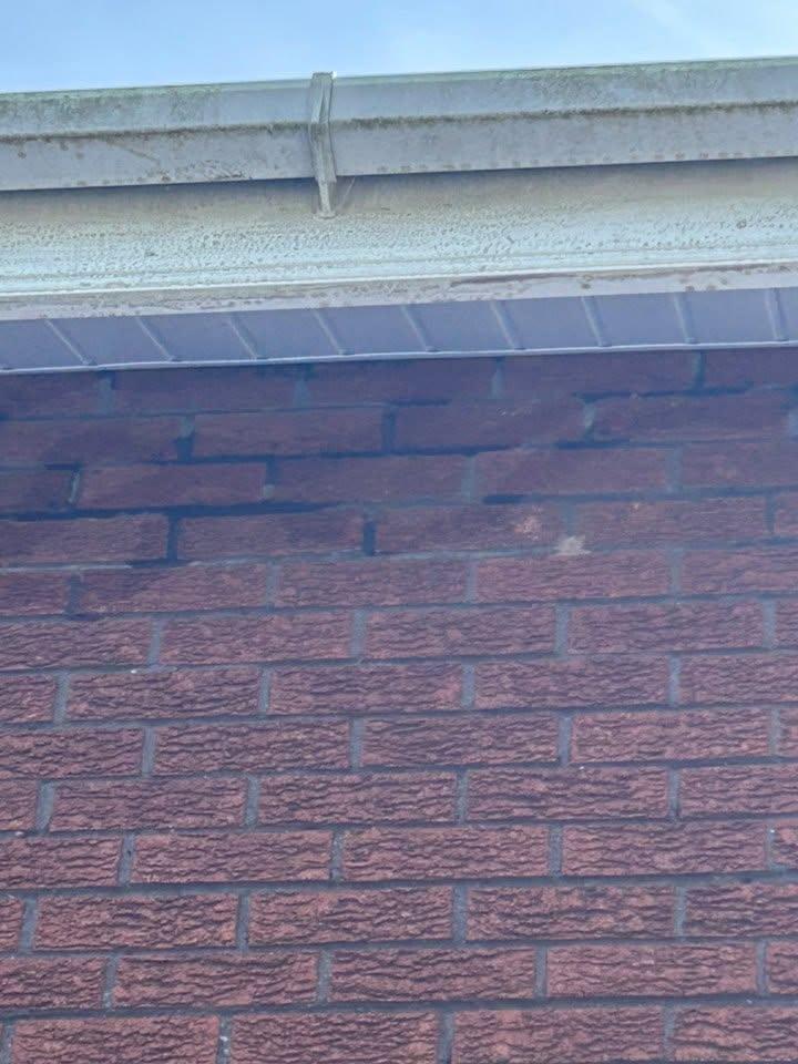 After fascia and soffit cleaning