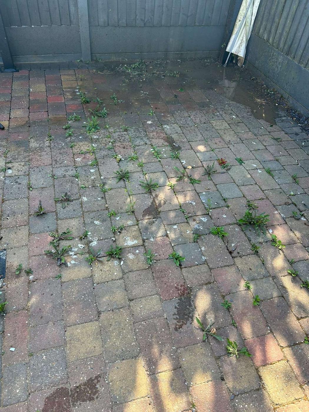 Before patio cleaning