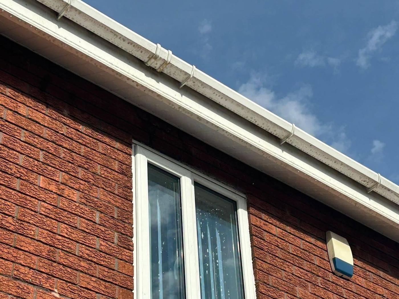 Fascia and Soffit Cleaning project