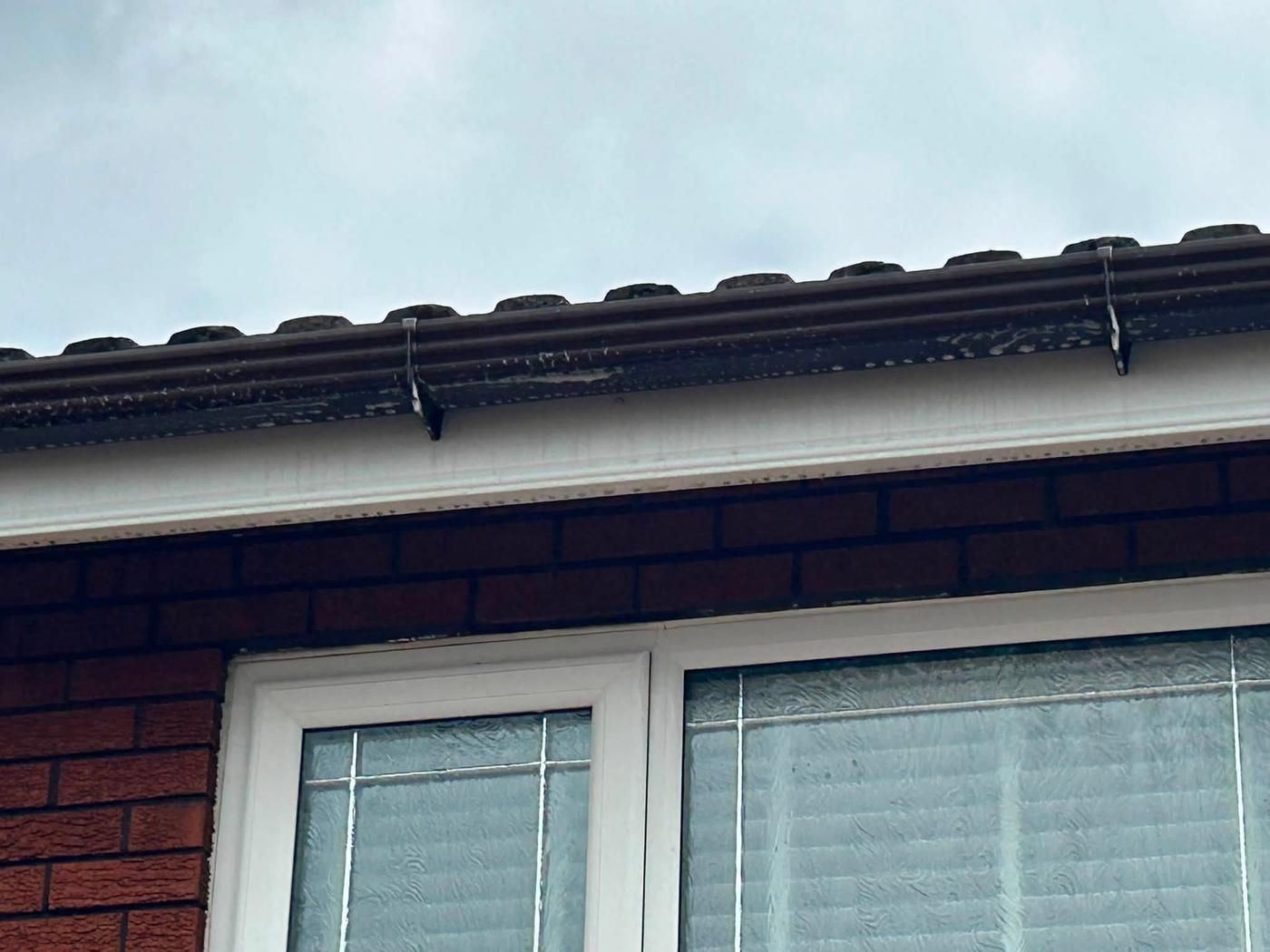 Fascia and Soffit Cleaning project