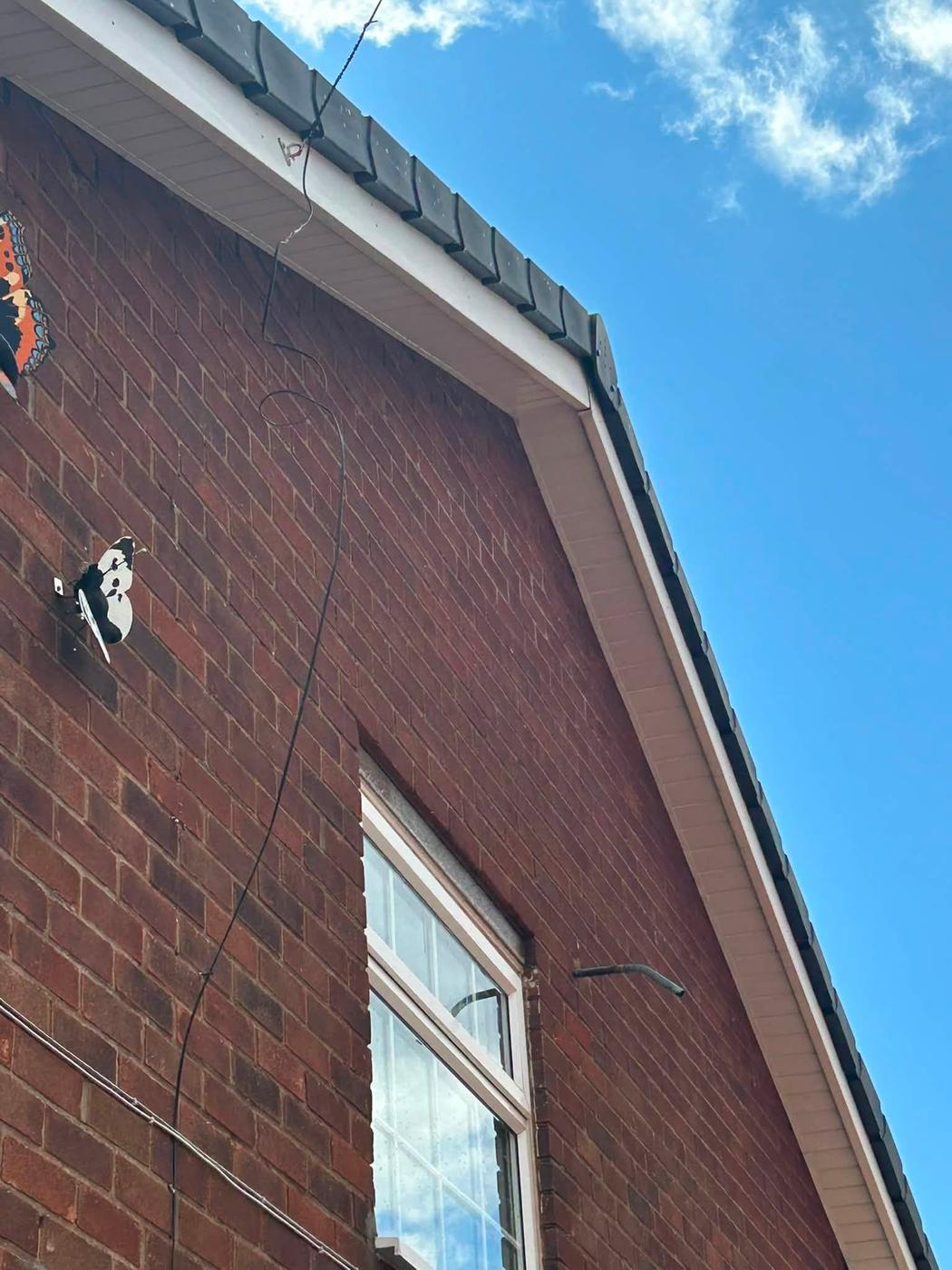 Fascia, soffit and gutter chemical clean