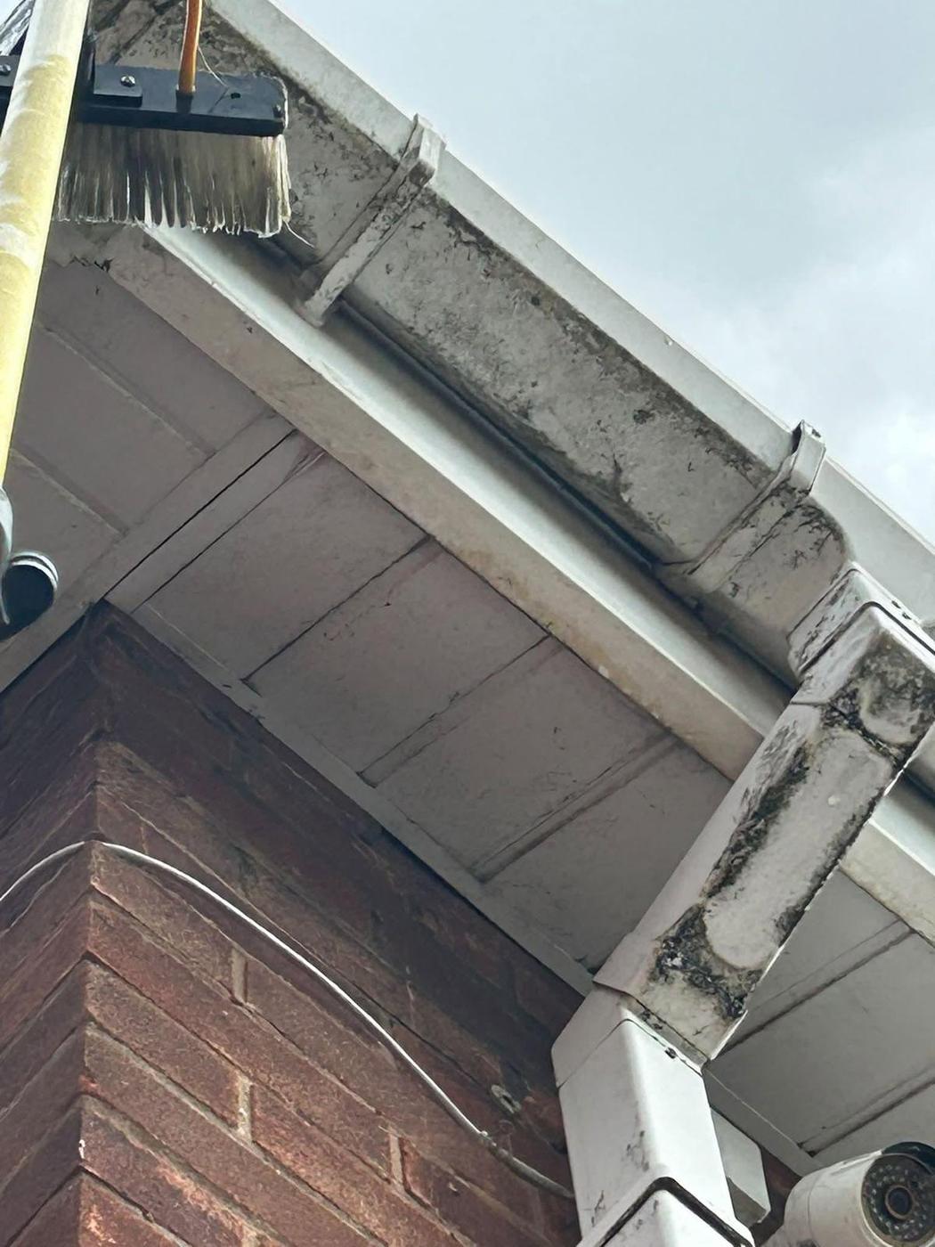 Fascia and Soffit Cleaning project