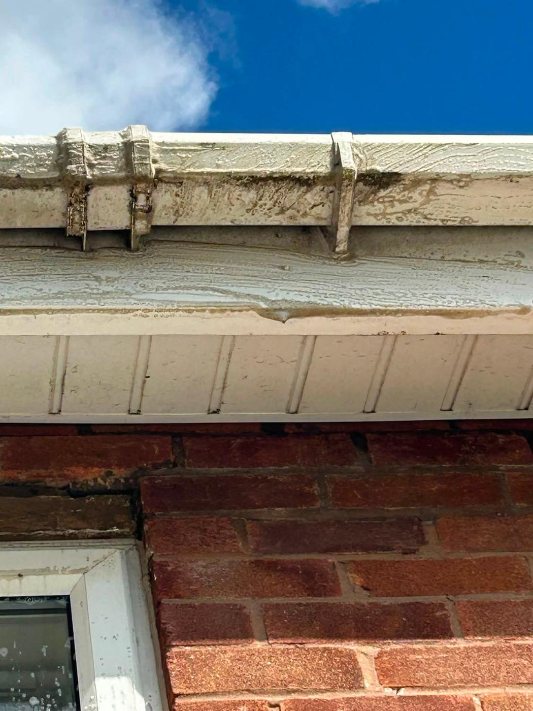 Fascia and Soffit Cleaning project