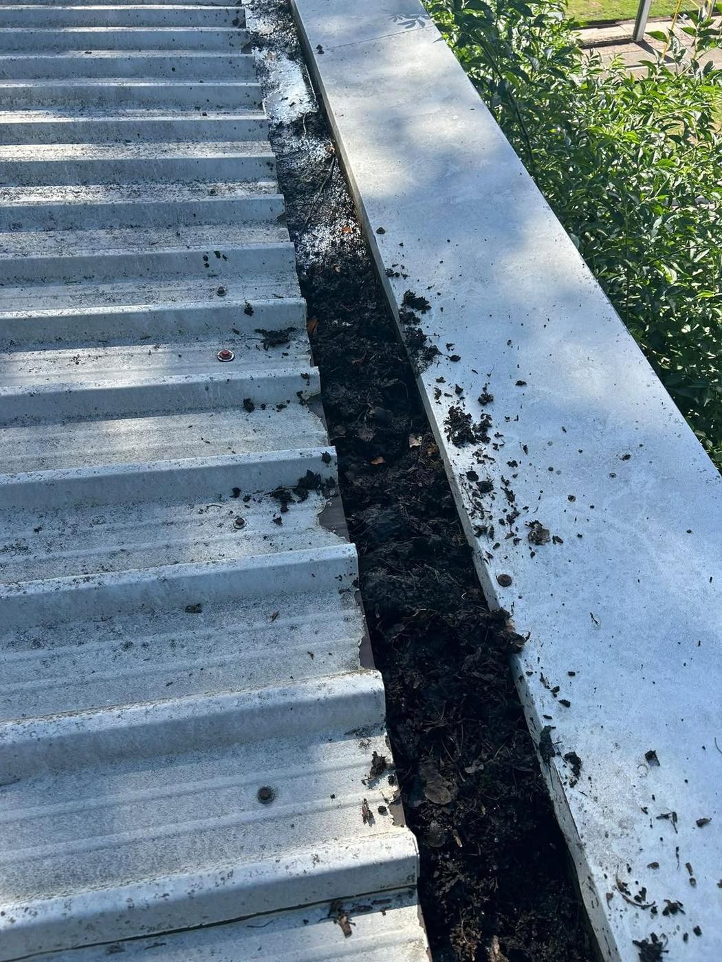 Gutter Cleaning project