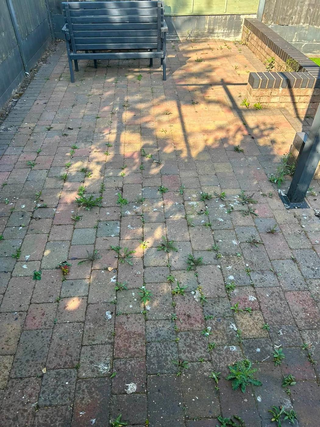 Patio Cleaning project