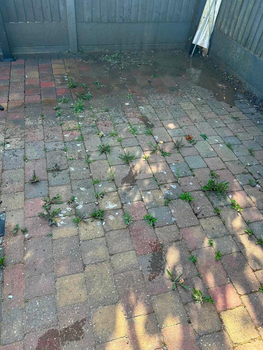 Patio Cleaning project