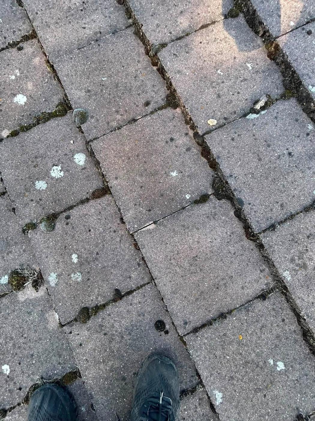 Roof Cleaning and Moss Removal project