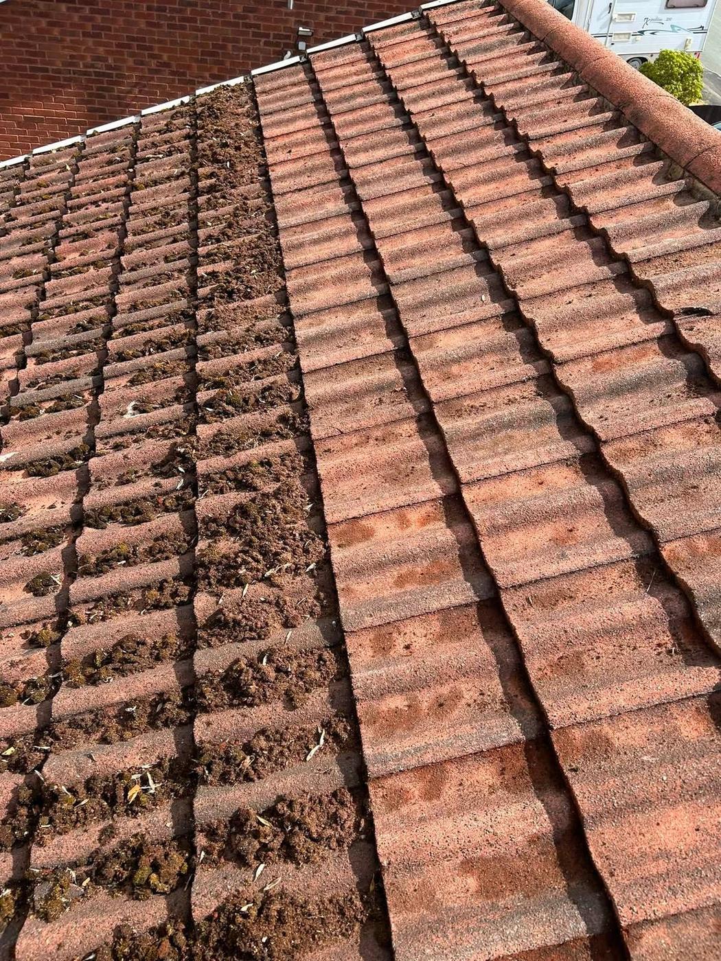 Roof cleaning and moss removal in progress