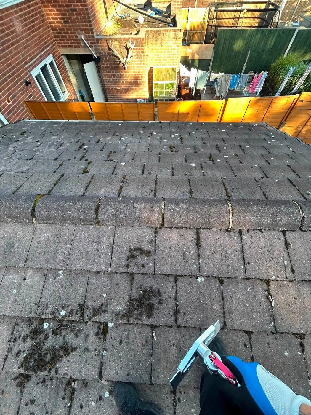 Roof cleaning and moss removal example