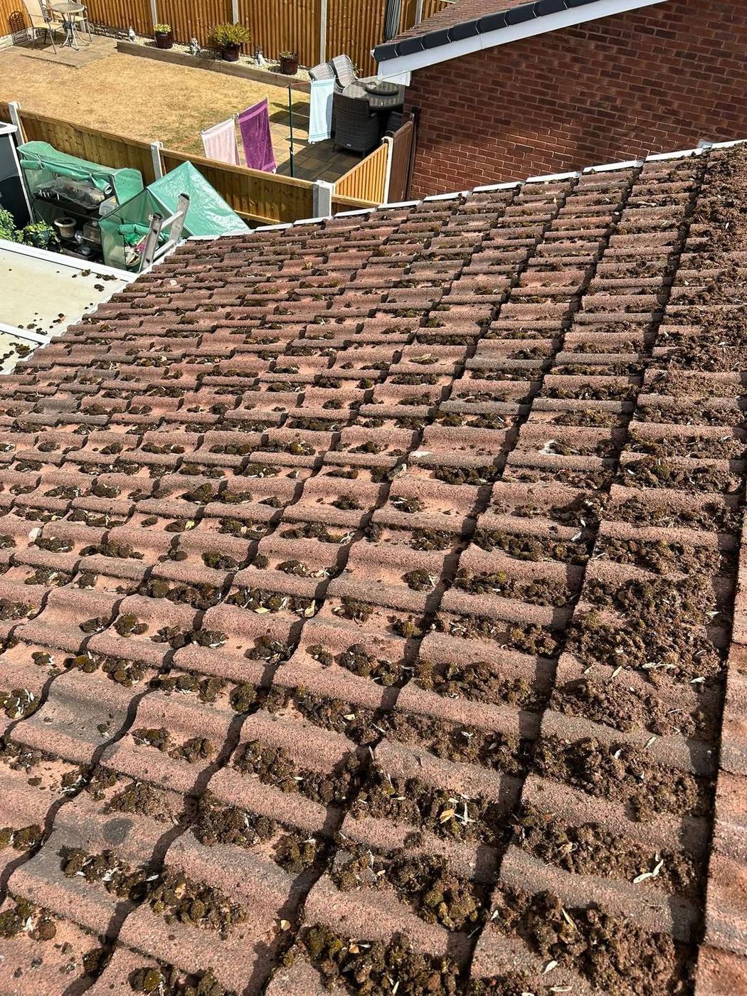 Roof Cleaning and Moss Removal project