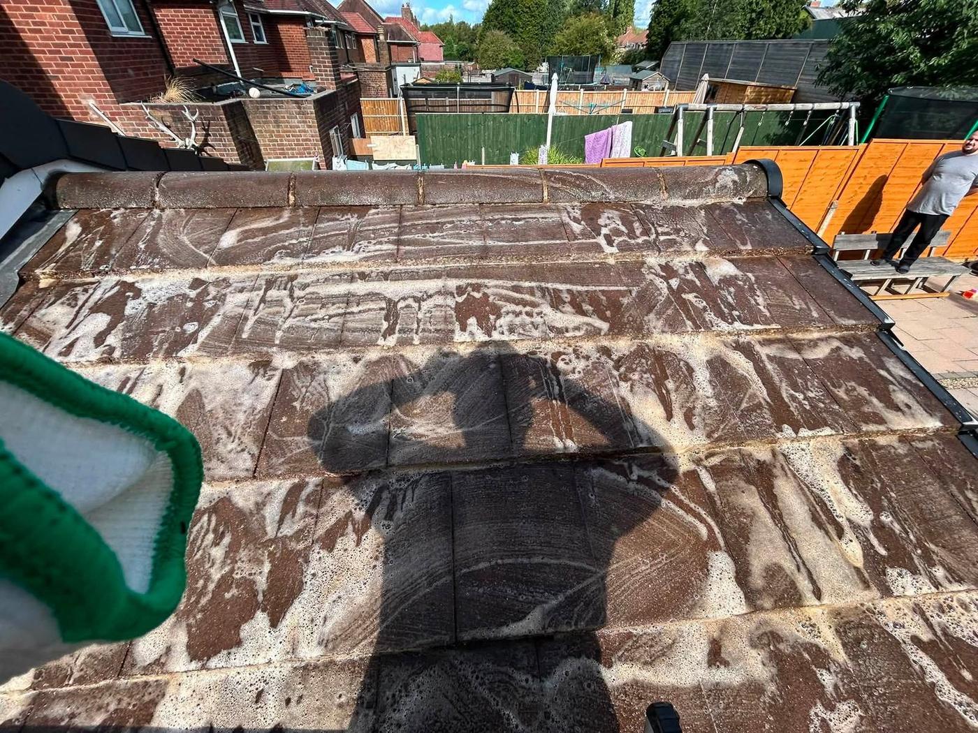 Roof cleaning and moss removal example